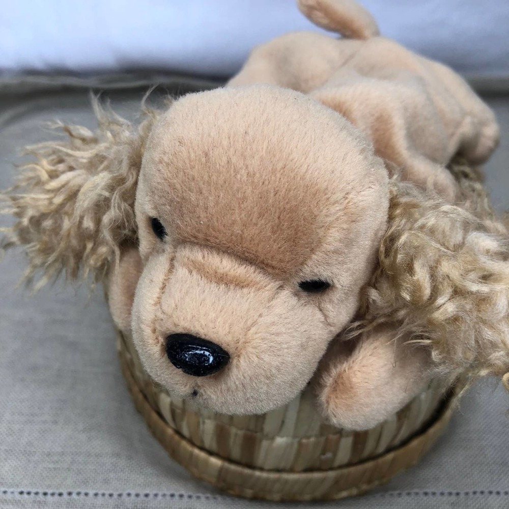 RARE Spunky '97 Beanie Babie